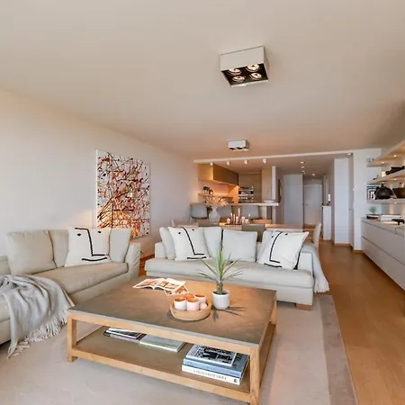 Modern With 2 Terraces And Seaview